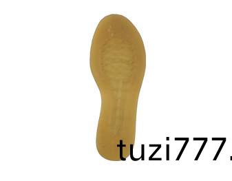 鞵大底TPE